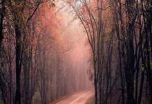 俄罗斯凭篮板击败“神经一样”对手,欧洲预选赛大比分胜负的背后故事